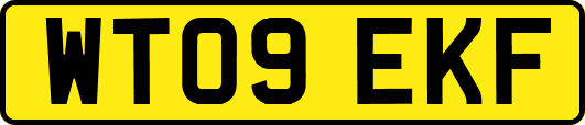 WT09EKF