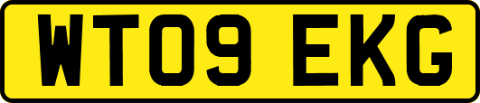 WT09EKG