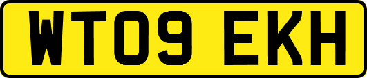 WT09EKH