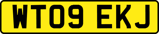 WT09EKJ