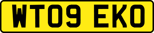 WT09EKO
