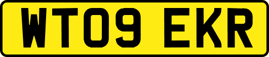 WT09EKR