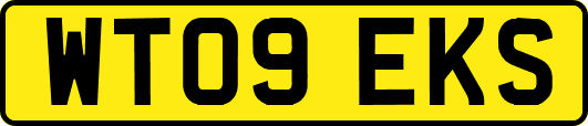 WT09EKS