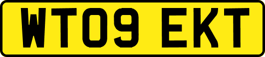 WT09EKT