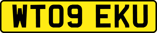 WT09EKU