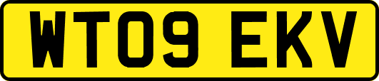 WT09EKV