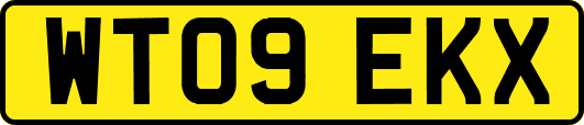 WT09EKX