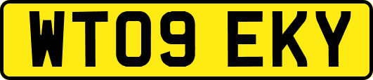 WT09EKY