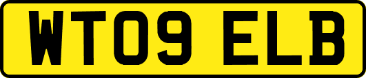 WT09ELB