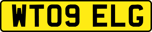 WT09ELG