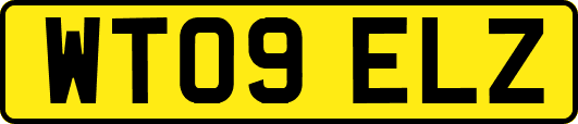 WT09ELZ