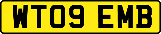 WT09EMB