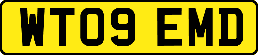 WT09EMD