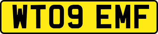WT09EMF