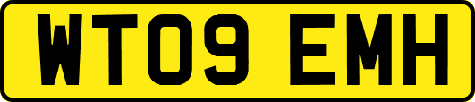 WT09EMH