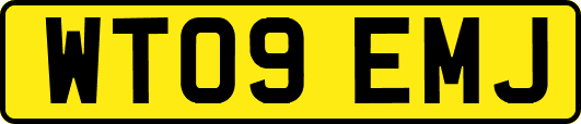 WT09EMJ