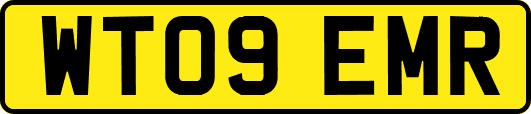 WT09EMR