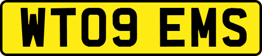 WT09EMS