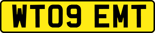 WT09EMT