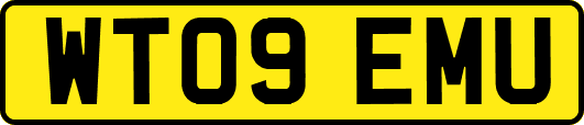WT09EMU