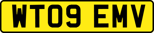 WT09EMV