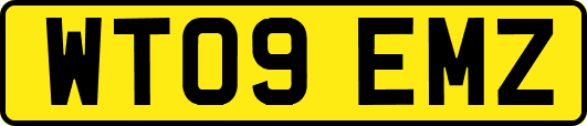 WT09EMZ