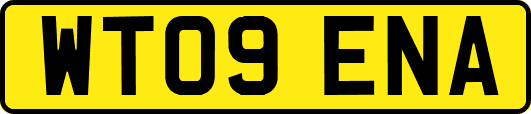 WT09ENA
