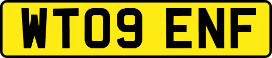 WT09ENF