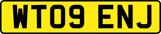 WT09ENJ