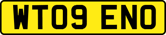 WT09ENO