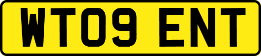 WT09ENT