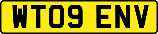 WT09ENV
