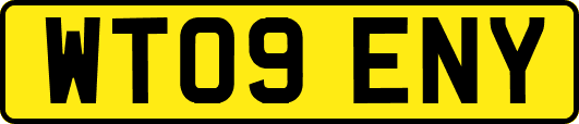 WT09ENY