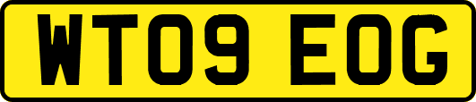 WT09EOG