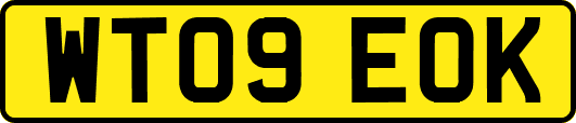 WT09EOK