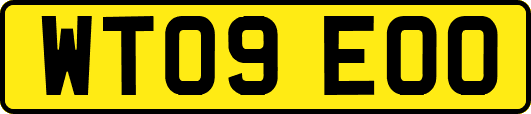 WT09EOO