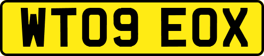 WT09EOX