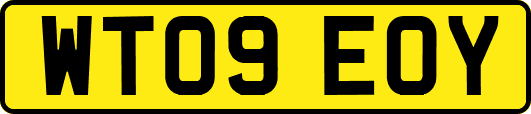 WT09EOY