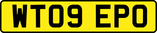 WT09EPO