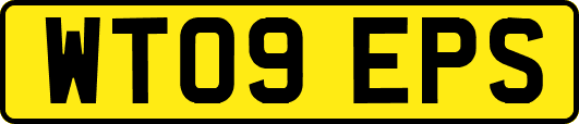 WT09EPS