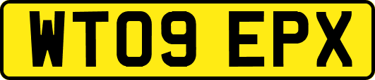 WT09EPX