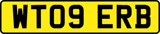 WT09ERB