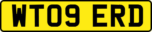 WT09ERD
