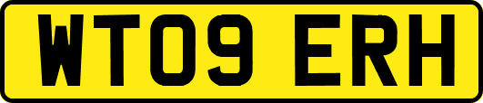 WT09ERH