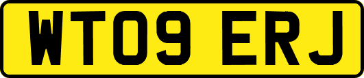 WT09ERJ