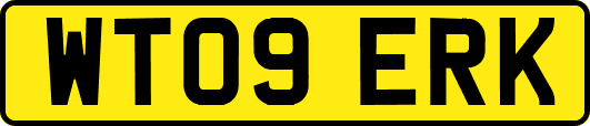 WT09ERK