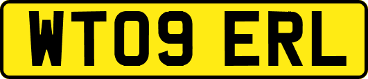 WT09ERL