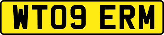 WT09ERM