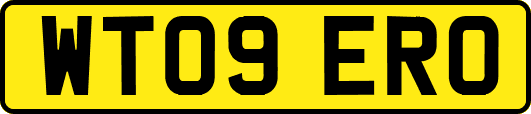 WT09ERO