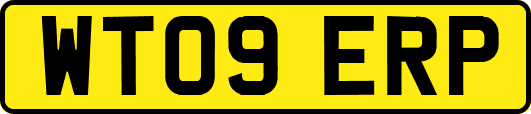 WT09ERP